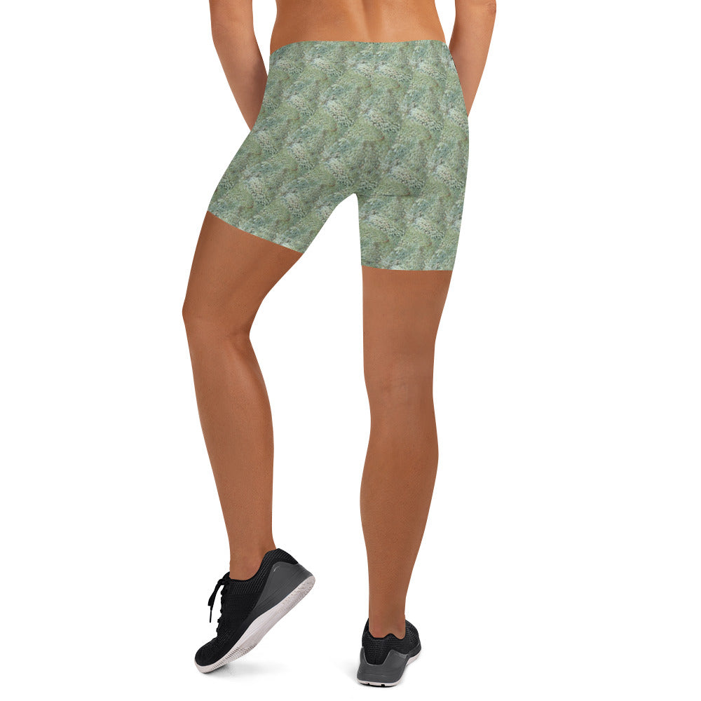 Leafy Print Shorts