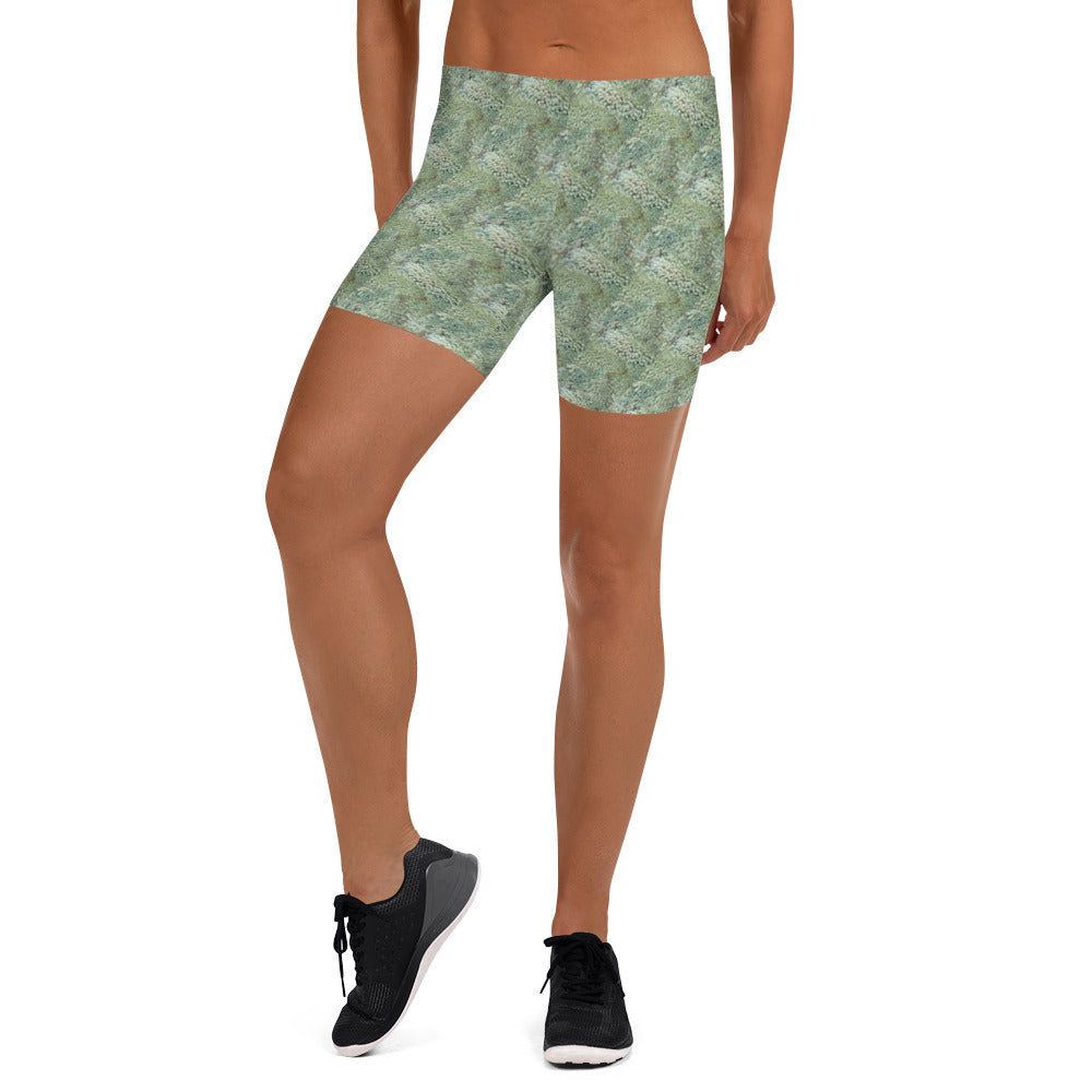 Leafy Print Shorts