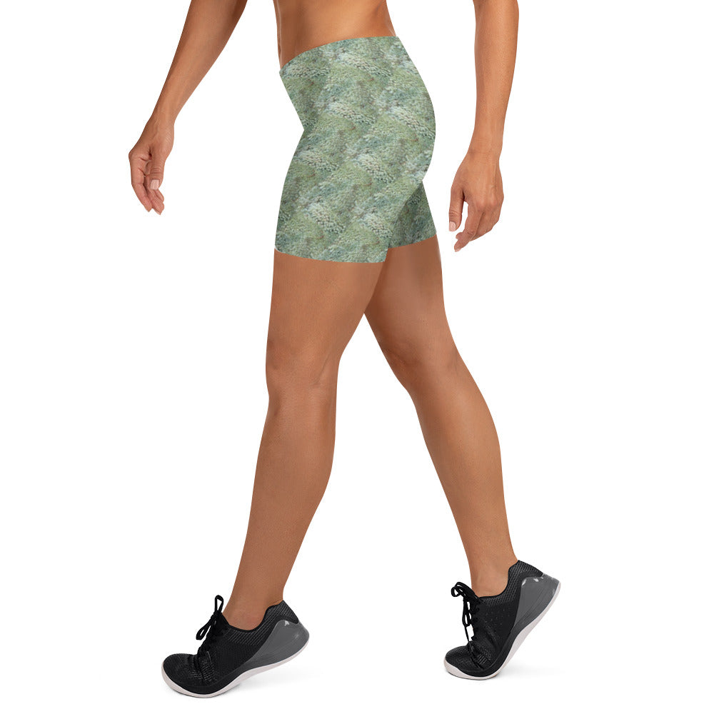 Leafy Print Shorts
